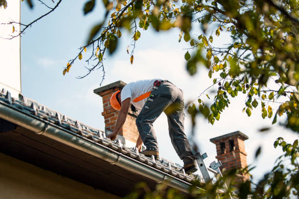 Best Roof Maintenance Services  in Carnesville, GA