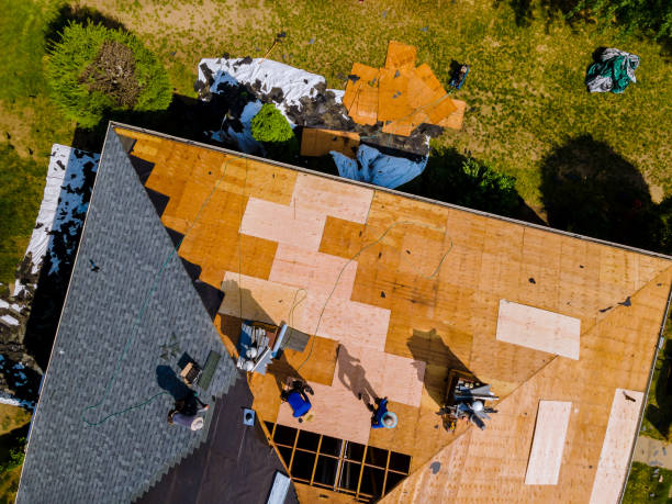 Best Local Roofing Companies  in Carnesville, GA