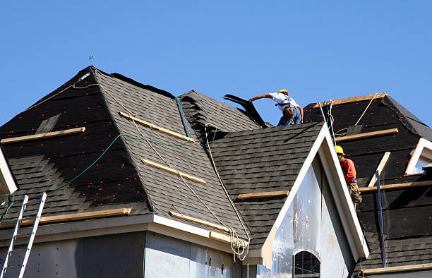 Best Roofing Contractor Near Me  in Carnesville, GA