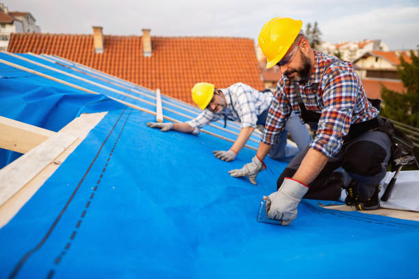 Best Roof Leak Repair  in Carnesville, GA