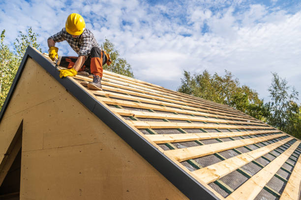 Best Emergency Roof Repair  in Carnesville, GA