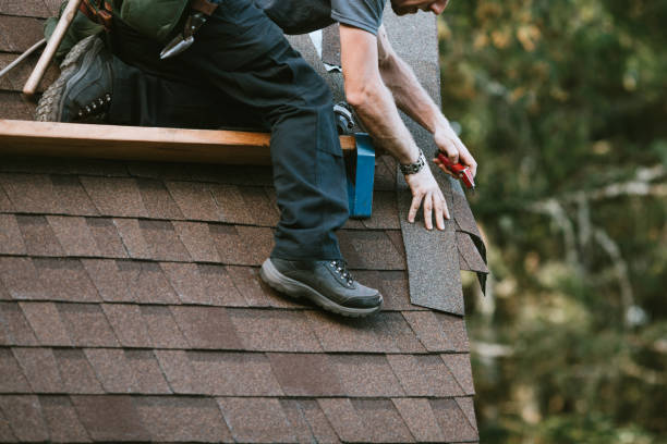Best Residential Roofing Contractor  in Carnesville, GA