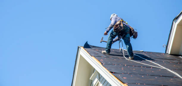 Best Roof Replacement Cost  in Carnesville, GA